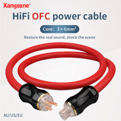 4N OFC 3*6mm² 10AWG  Core -156° Plug Audio Power Cable 