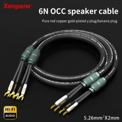6N OCC Frozen Speaker Cable 2 * 5.26mm ² HiFi Amplifier Main Speaker Cable Connection Wire Gold-plated U-shaped Banana Plug