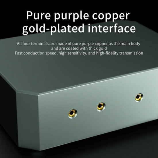 Xangsane HD-80S Grounding Box Audio Amplifier Vehicle-mounted Electronic System Purification Anti-interference