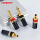 Xangsane Gold-Plated Copper Hi-Fi Speaker Terminal Block, Banana Plug Socket Connectors for Amplifier, CD Player & Audio Equipment