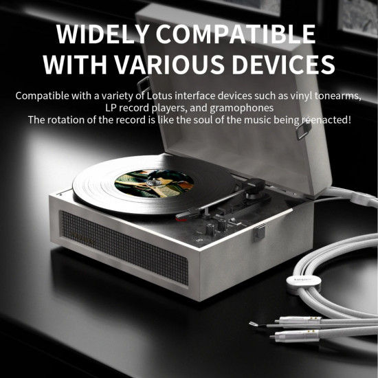 Xangsane XS-LP0616 Pure Silver Vinyl Tonearm Cable, LP Vinyl Record Player RCA Signal Cable Audio Cable