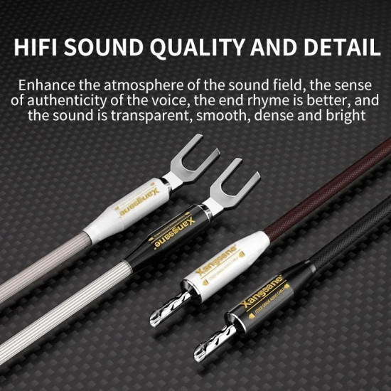 Xangsane Pure Sterling Silver Jumper Speaker Bridge Cable High and Low Split-line Banana Y Plug