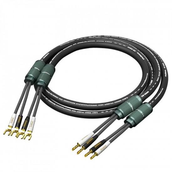 6N OCC Frozen Speaker Cable 2 * 5.26mm ² HiFi Amplifier Main Speaker Cable Connection Wire Gold-plated U-shaped Banana Plug 6N OCC Frozen Speaker Cable 2 * 5.26mm ² HiFi Amplifier Main Speaker Cable Connection Wire Gold-plated U-shaped Banana Plug