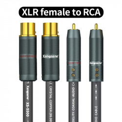 XS-5500 Frozen 6N Hifi OCC XLR To RCA Mixing Console Amplifier Audio Adapter Audio Connection Cable